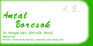 antal borcsok business card
